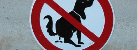 funny signboards 5